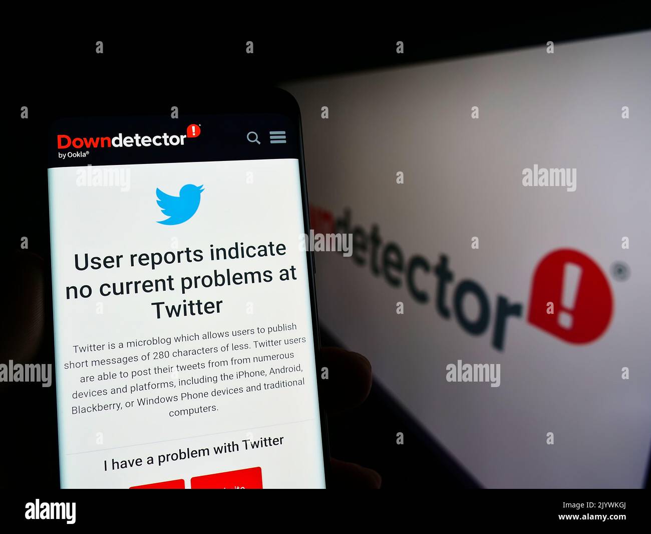 Persona in possesso di smartphone con sito Web di piattaforma Downdetector e stato Twitter davanti al logo. Messa a fuoco sul display del telefono. Foto Stock