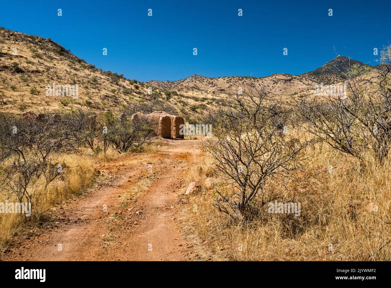 Rovine di Adobe a Alto Camp, Bond Canyon, Mt Hopkins Observatory in far dist, sulla destra, Salero Road, Santa Rita Mtns, Coronado National Forest, Arizona Foto Stock