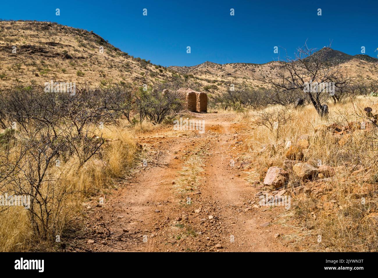 Rovine di Adobe a Alto Camp, Bond Canyon, Mt Hopkins Observatory in far dist, sulla destra, Salero Road, Santa Rita Mtns, Coronado National Forest, Arizona Foto Stock