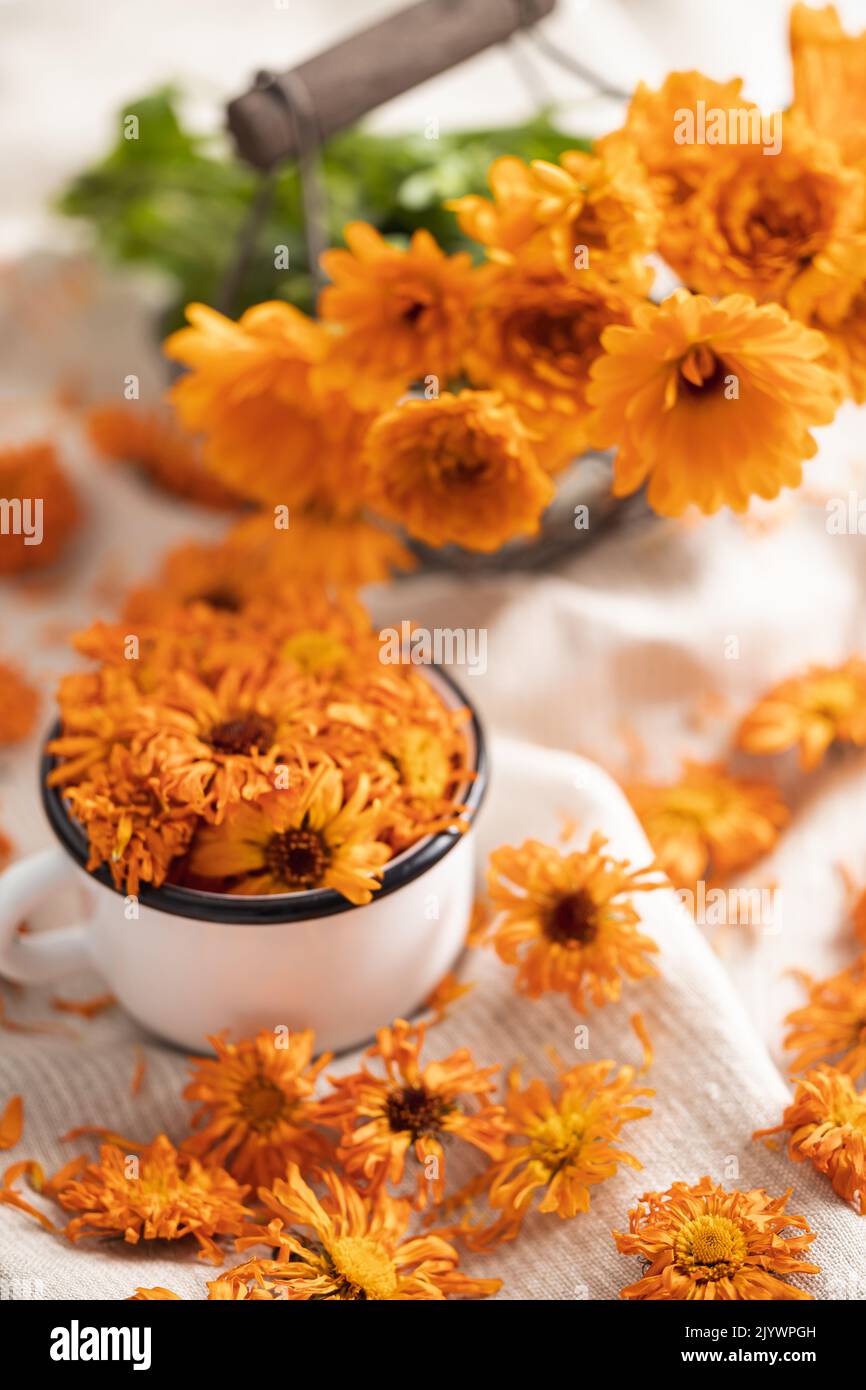 Fiori di calendula essiccati e freschi in una tazza di metallo bianco Foto Stock