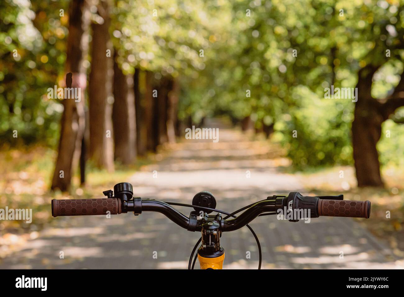 POV al manubrio della bicicletta e prospettiva del vicolo del parco Foto Stock