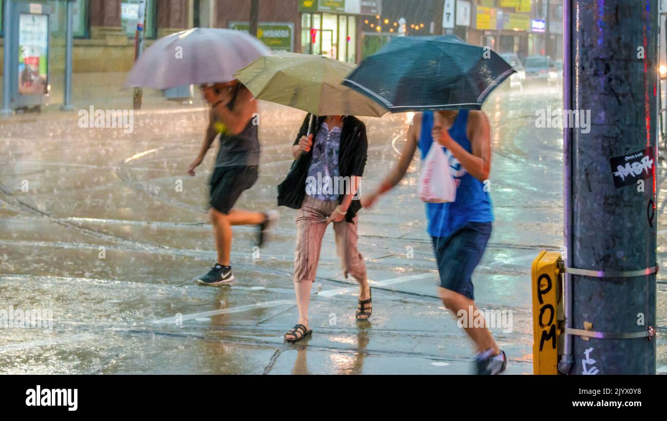 La gente cammina con gli ombrelli nella piovosa città di Toronto. In una giornata di pioggia con un ombrello in città. Foto Stock