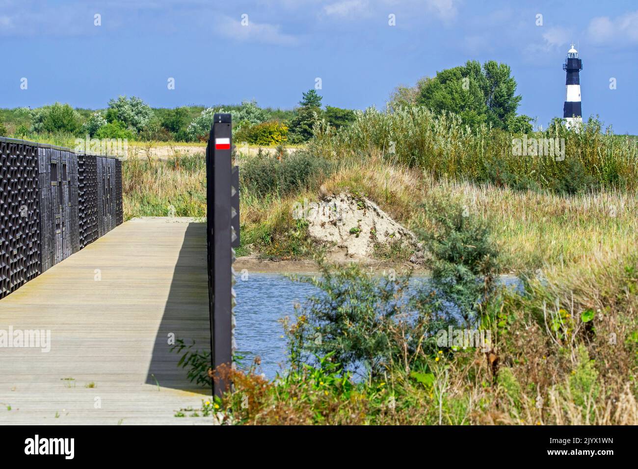 Il faro di Breskens e la passerella costeggiata da bui sulle acque delle paludi presso la riserva naturale Waterdunen, Zeeland, Paesi Bassi Foto Stock