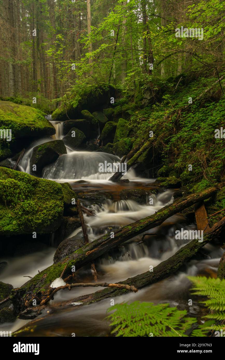 Cascata di San Wolfgang nei pressi della città di Vyssi Brod nella Boemia meridionale vicino al confine con l'Austria Foto Stock