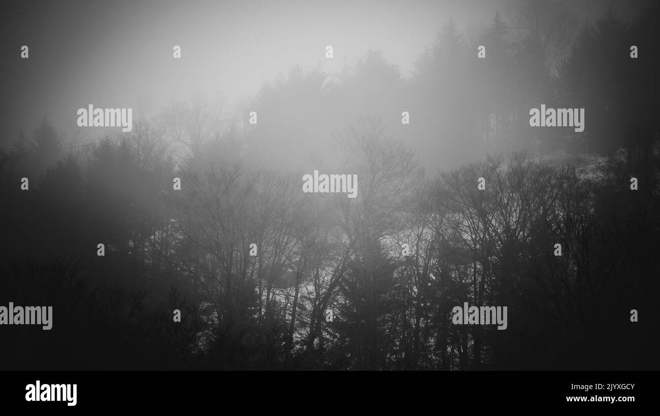 Una serata invernale vaga sul Monte McCauley nelle Adirondacks fuori da Old Forge, New York. Foto Stock