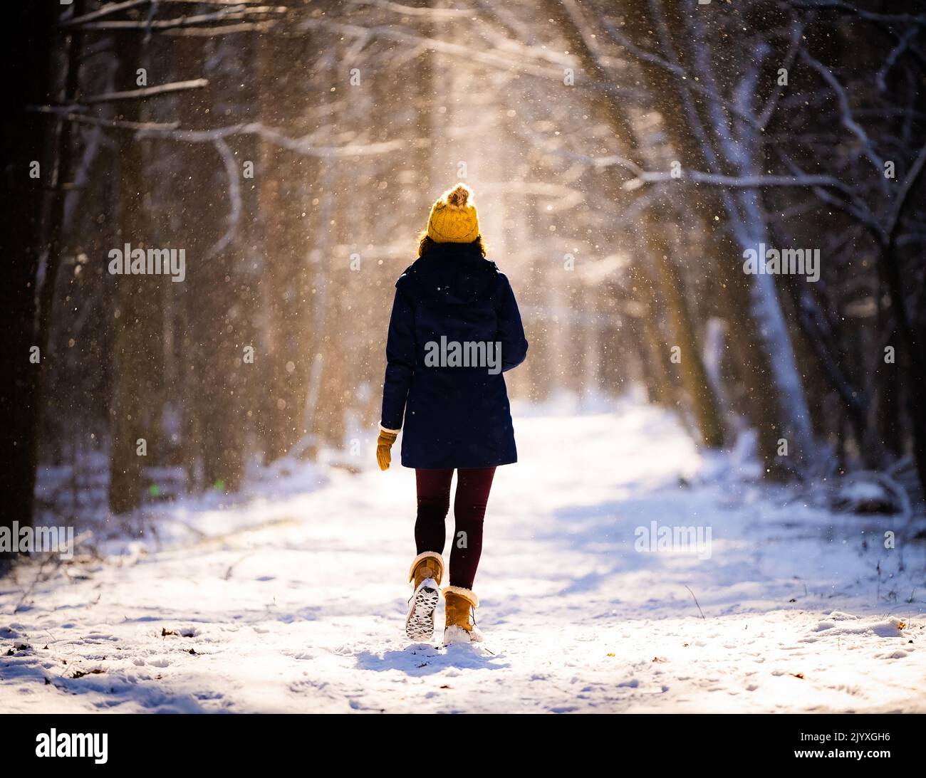 Una donna che cammina attraverso un sentiero nella foresta durante l'inverno al tramonto. Foto Stock