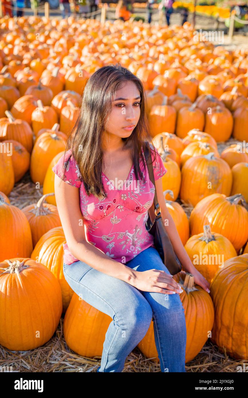 Ritratto di festa di Autunno di una giovane donna asiatica seduta in un campo di Pumpkins Foto Stock