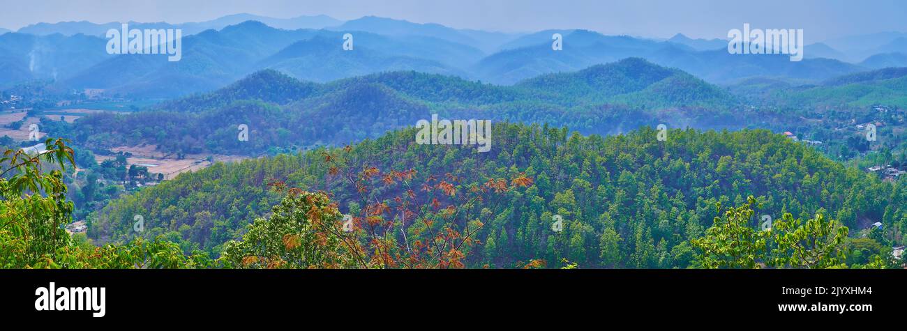Panorama della gamma Dawna di colline di Shan, coperto di foreste di conifere, Mae Hong Son, Thailandia Foto Stock