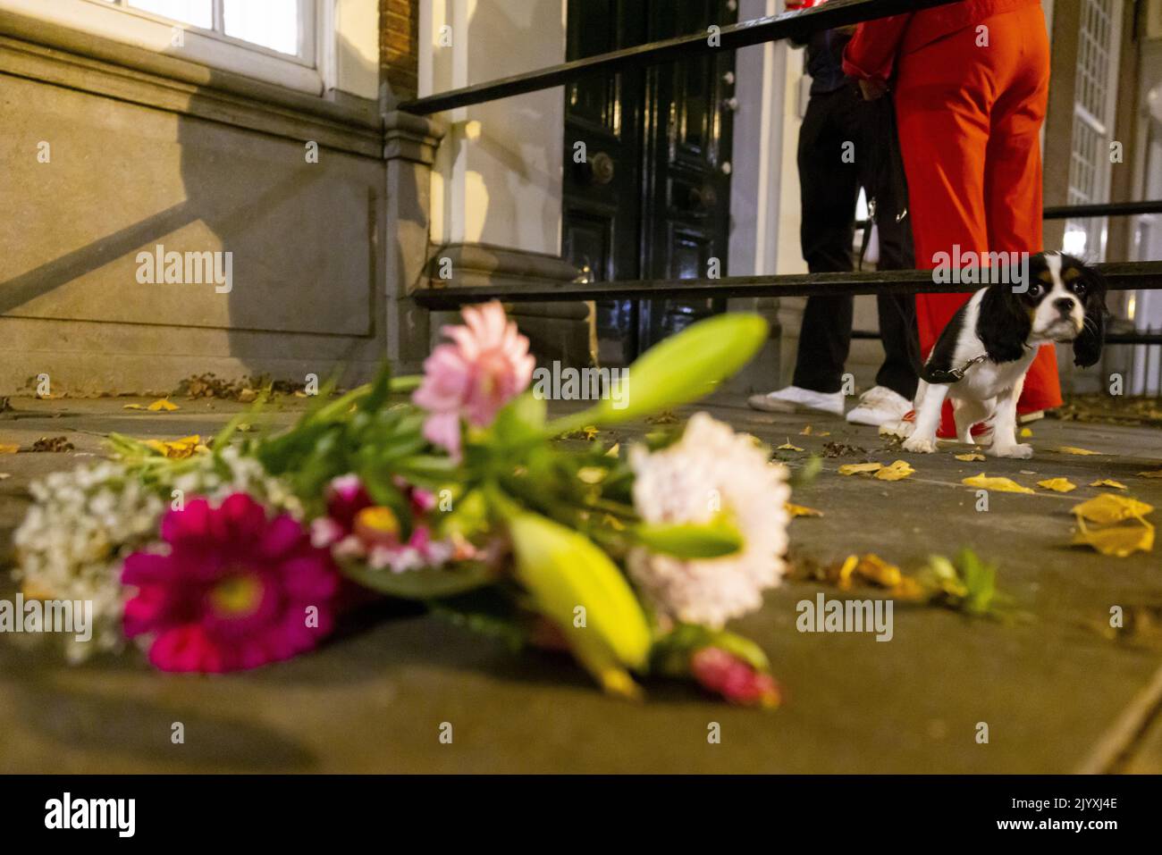 2022-09-08 21:12:30:19 L'AIA - Fiori all'ambasciata britannica dopo la morte della regina Elisabetta all'età di 96. netherlands out - belgium out Credit: ANP/Alamy Live News Foto Stock