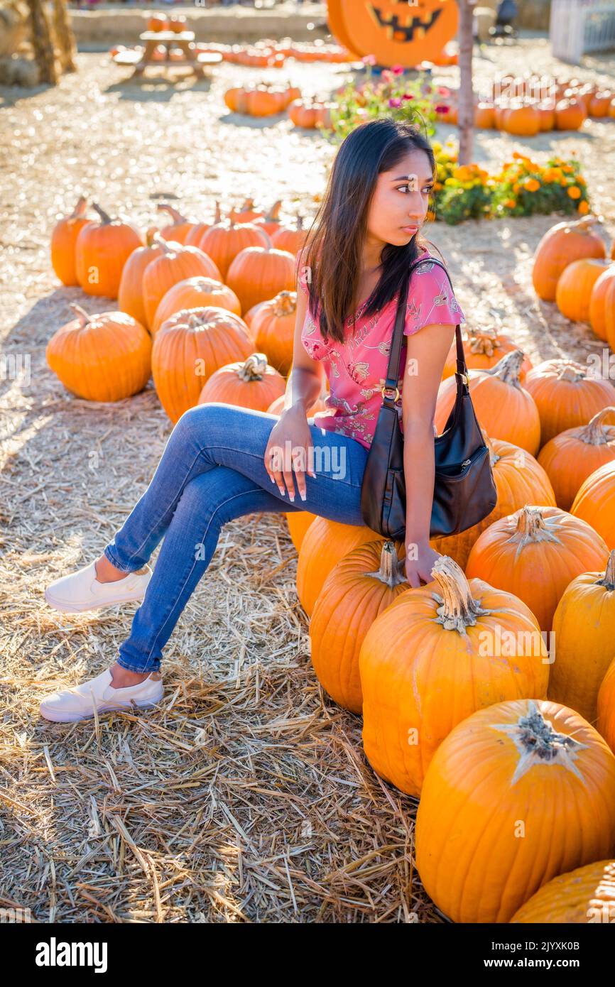 Ritratto di festa di Autunno di una giovane donna asiatica seduta in un campo di Pumpkins Foto Stock