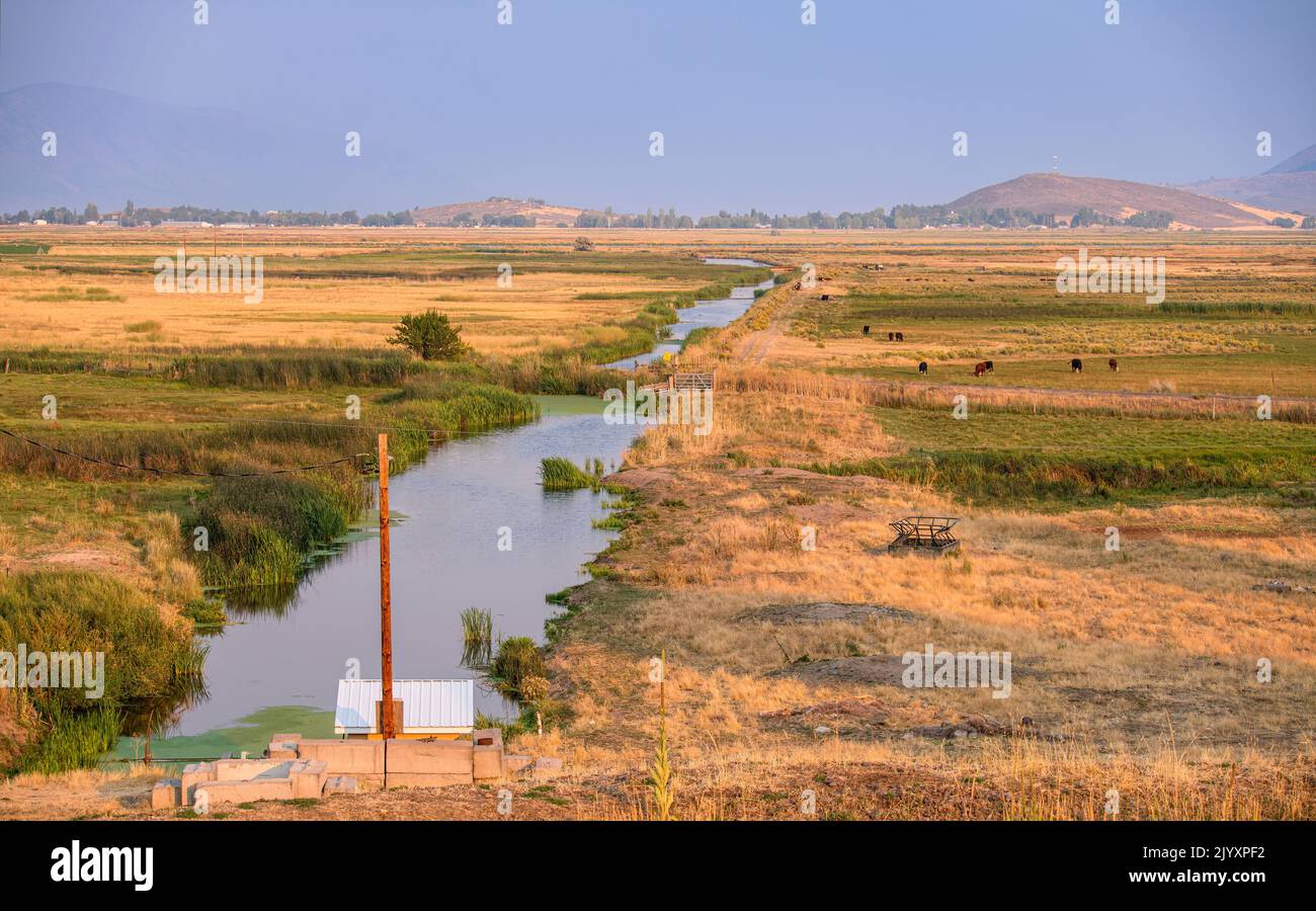 Terreni agricoli e pascoli di animali da fattoria nelle zone rurali dello stato dell'Oregon di Klamath Falls. Foto Stock