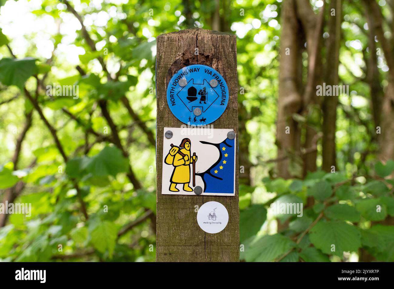 North Downs Way Walk e Via Francigena Walk Route markers - Canterbury, Inghilterra, Regno Unito Foto Stock