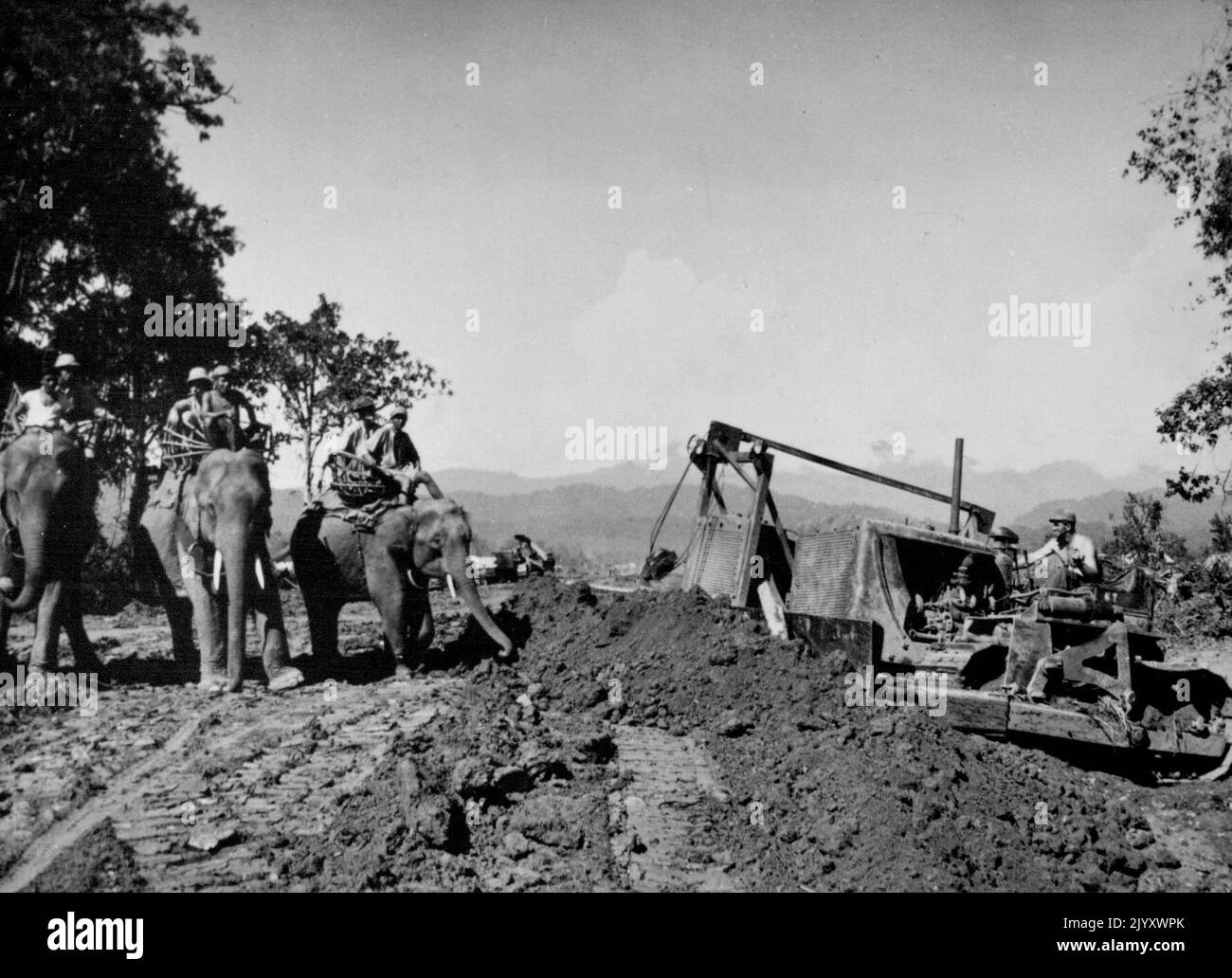 Elefanti e Bulldozer si incontrano nella giungla della Birmania settentrionale -- un gruppo di indagine americano, montato sugli elefanti si ferma nella giungla della Birmania settentrionale per conversare con l'operatore di un Bulldozer dell'esercito statunitense. Sia gli elefanti che il bulldozer vengono utilizzati nel tentativo di stabilire un incrocio tra le strade Ledo e Burma, che renderà possibile la consegna di maggiori quantità di attrezzature per combattere i giapponesi in Cina. Gennaio 03, 1945. (Foto di U. S. Office of War Information Picture). Foto Stock Elefanti e Bulldozer si incontrano nella giungla della Birmania settentrionale -- un gruppo di indagine americano, montato sugli elefanti si ferma nella giungla della Birmania settentrionale per conversare con l'operatore di un Bulldozer dell'esercito statunitense. Sia gli elefanti che il bulldozer vengono utilizzati nel tentativo di stabilire un incrocio tra le strade Ledo e Burma, che renderà possibile la consegna di maggiori quantità di attrezzature per combattere i giapponesi in Cina. Gennaio 03, 1945. (Foto di U. S. Office of War Information Picture). Foto Stock