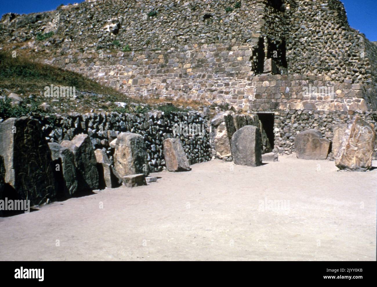 Figure in piedi del 'Los Danzantes' una collezione di oltre 300 bassorilievi a Monte Alban. Monte Alban è un grande sito archeologico precolombiano del comune di Santa Cruz Xoxocotlan, nello stato messicano meridionale di Oaxaca. Oltre ad essere una delle prime città della Mesoamerica, l'importanza di Monte Alban deriva anche dal suo ruolo di preminente centro socio-politico ed economico di Zapotec per quasi mille anni. Fondata verso la fine del Medio periodo formativo intorno al 500 a.C. Una caratteristica del Monte Alban è il gran numero di monumenti in pietra scolpita un enco Foto Stock