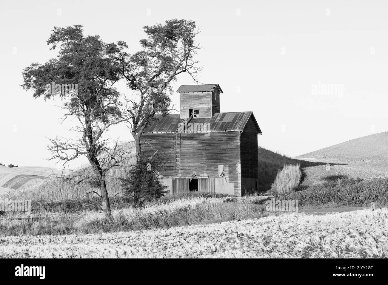 Stati Uniti, Washington state, Whitman County. Palouse. Colfax. Vecchio silo di grano e fienile lungo Filan Road. Foto Stock