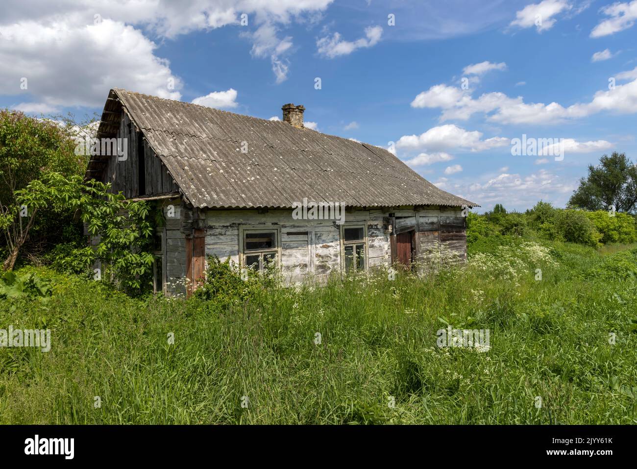 Una vecchia casa in legno abbandonata, una vecchia casa in legno danneggiata di un piano nel villaggio, coltivata con erba e piante Foto Stock