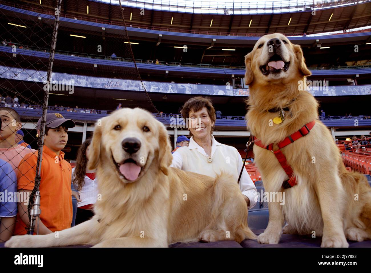 Judy Kessler, moglie del proprietario dei New York Mets Fred Wilpon con i suoi due Golden Retrievers sul campo di Shea Stadium nel 2006. Foto Stock