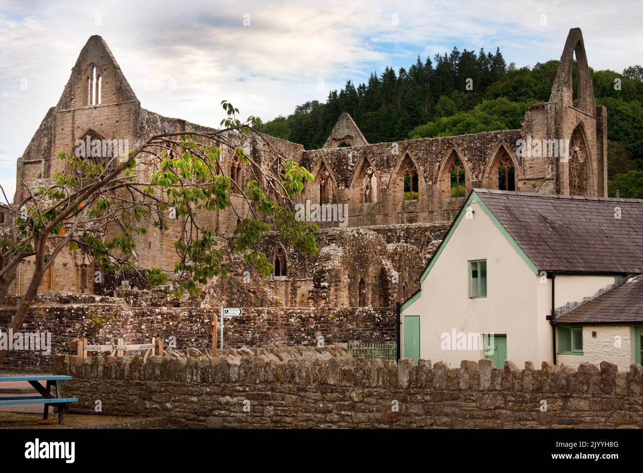 Rovine dell'abbazia cistercense di Tintern nel Monmouthshire, sulla riva gallese del fiume Wye, Galles Foto Stock