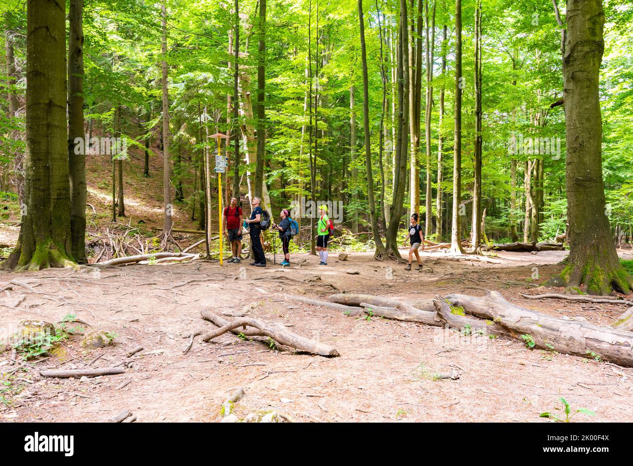 TERCHOVA, SLOVACCHIA - 6,7.2019: I turisti stanno leggendo il segno con direzione nel parco nazionale slovacco Mala Fatra. Indicazioni turistiche sono poste su importante Foto Stock