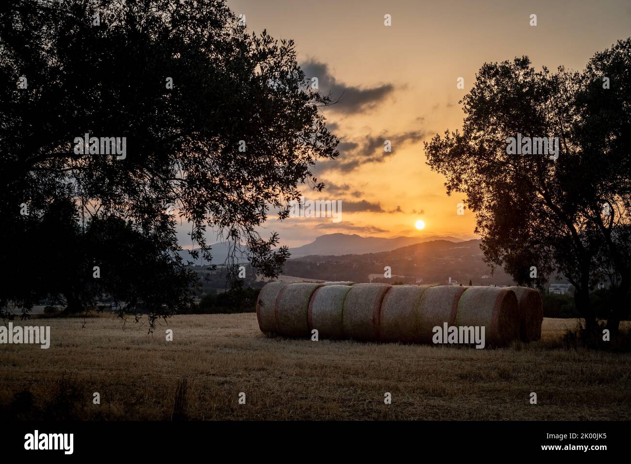 Scenario rurale con balle di paglia al tramonto Foto Stock