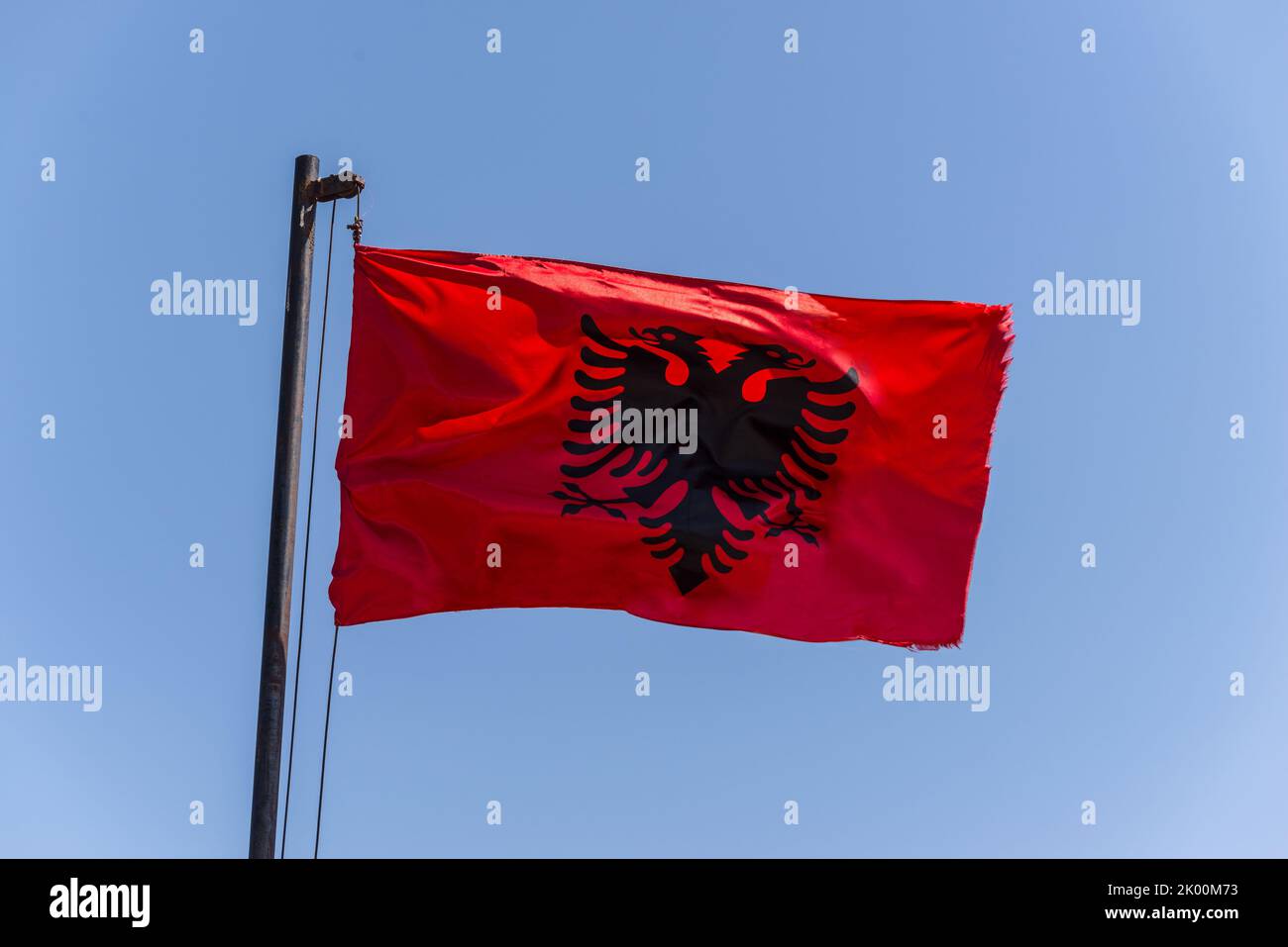 Bandiera dell'Albania. Bandiera albanese su un flagpole che ondola su uno sfondo blu brillante del cielo. Foto Stock