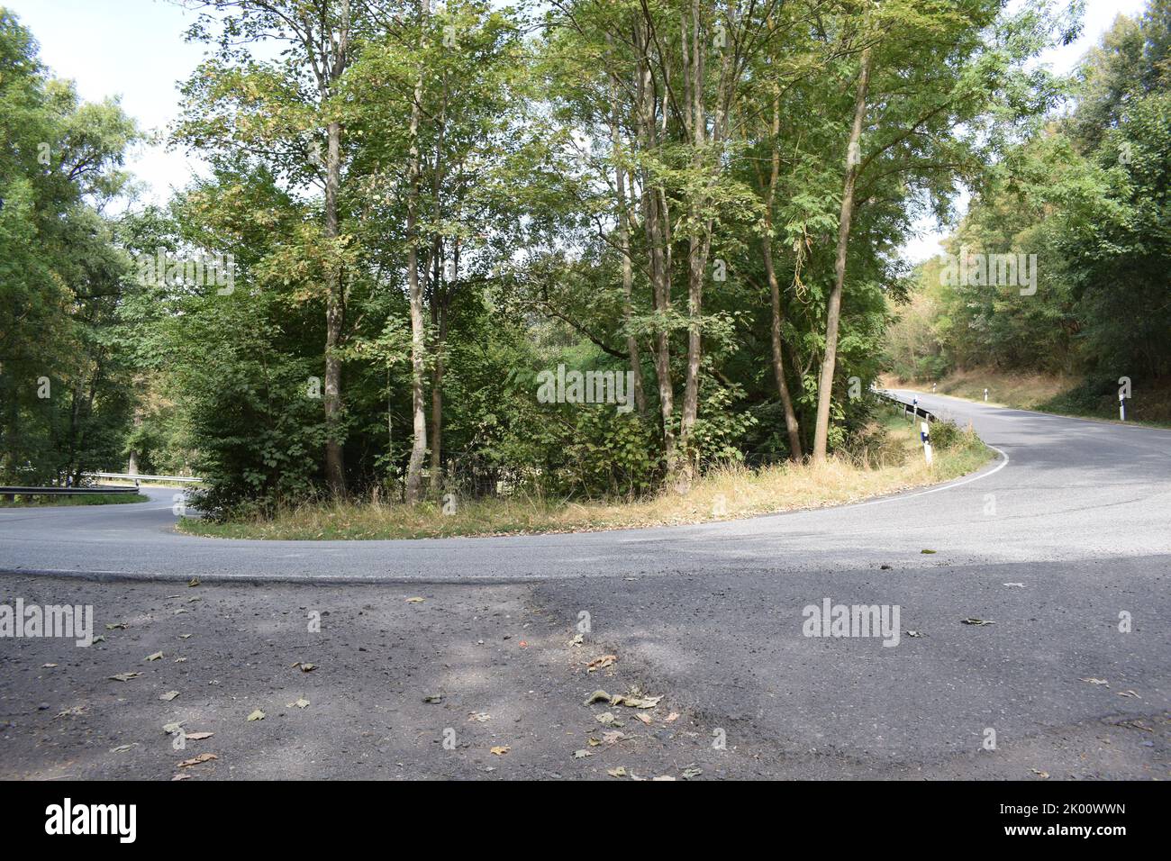 strada curvy in foresta verde Foto Stock