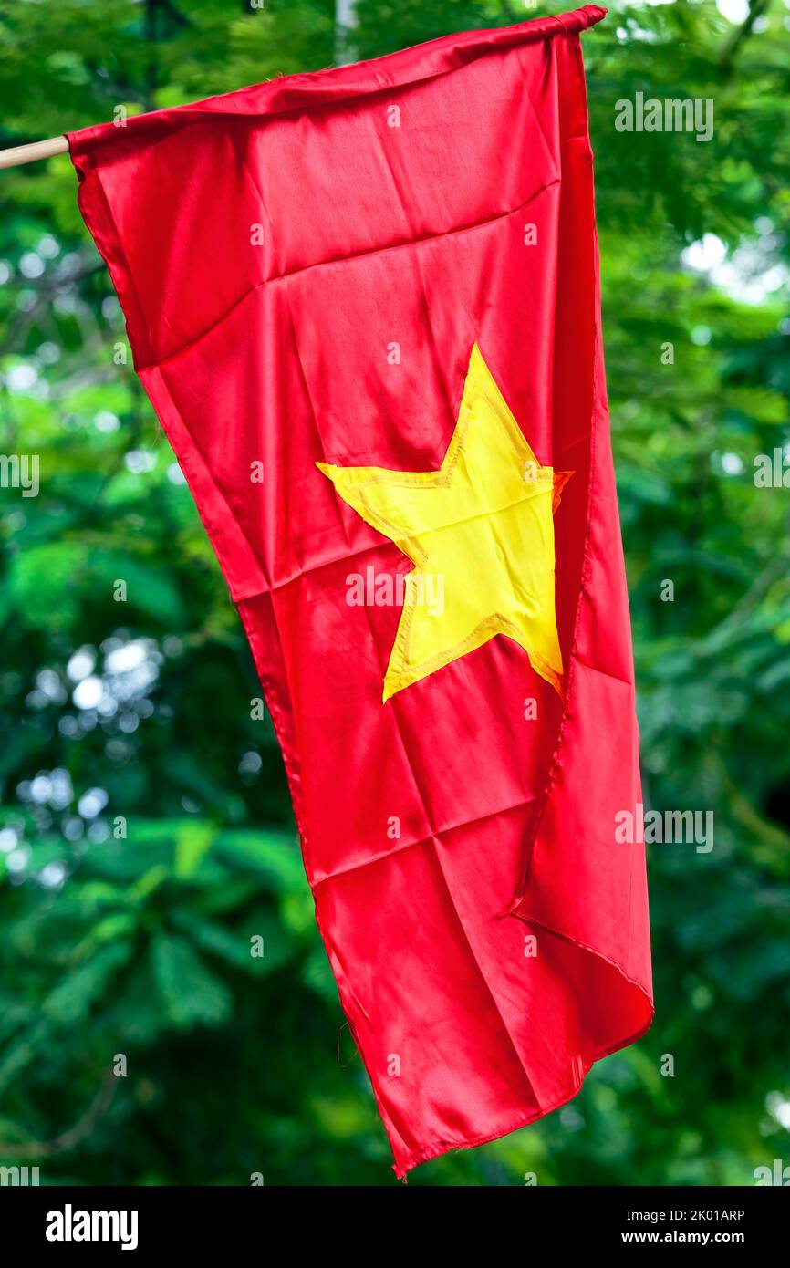 Bandiera vietnamita aginst foglie sfondo, stella gialla su sfondo rosso, Vietnam Foto Stock