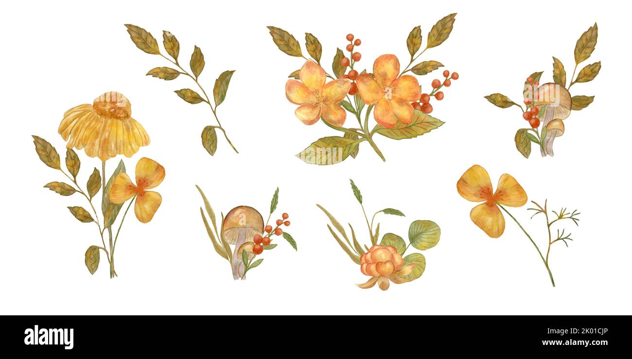 Fiori autunnali. Composizione acquerello di funghi fiori autunnali. Design per cartoline e adesivi. Isolato su sfondo bianco. Foto Stock