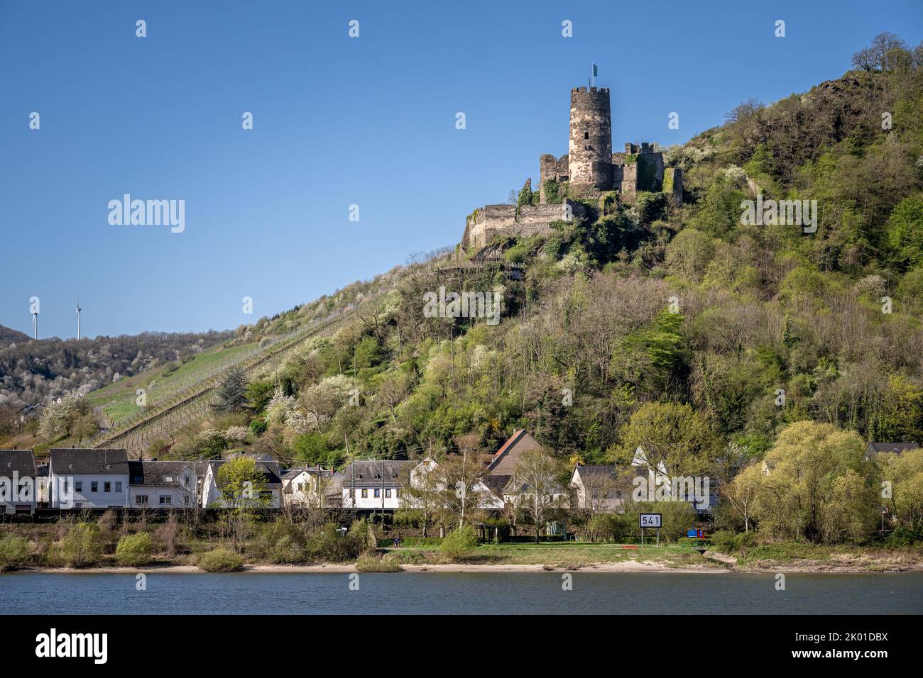 Rovine del castello di Fürstenberg (Burg Fürstenberg), Oberdiebach Foto Stock