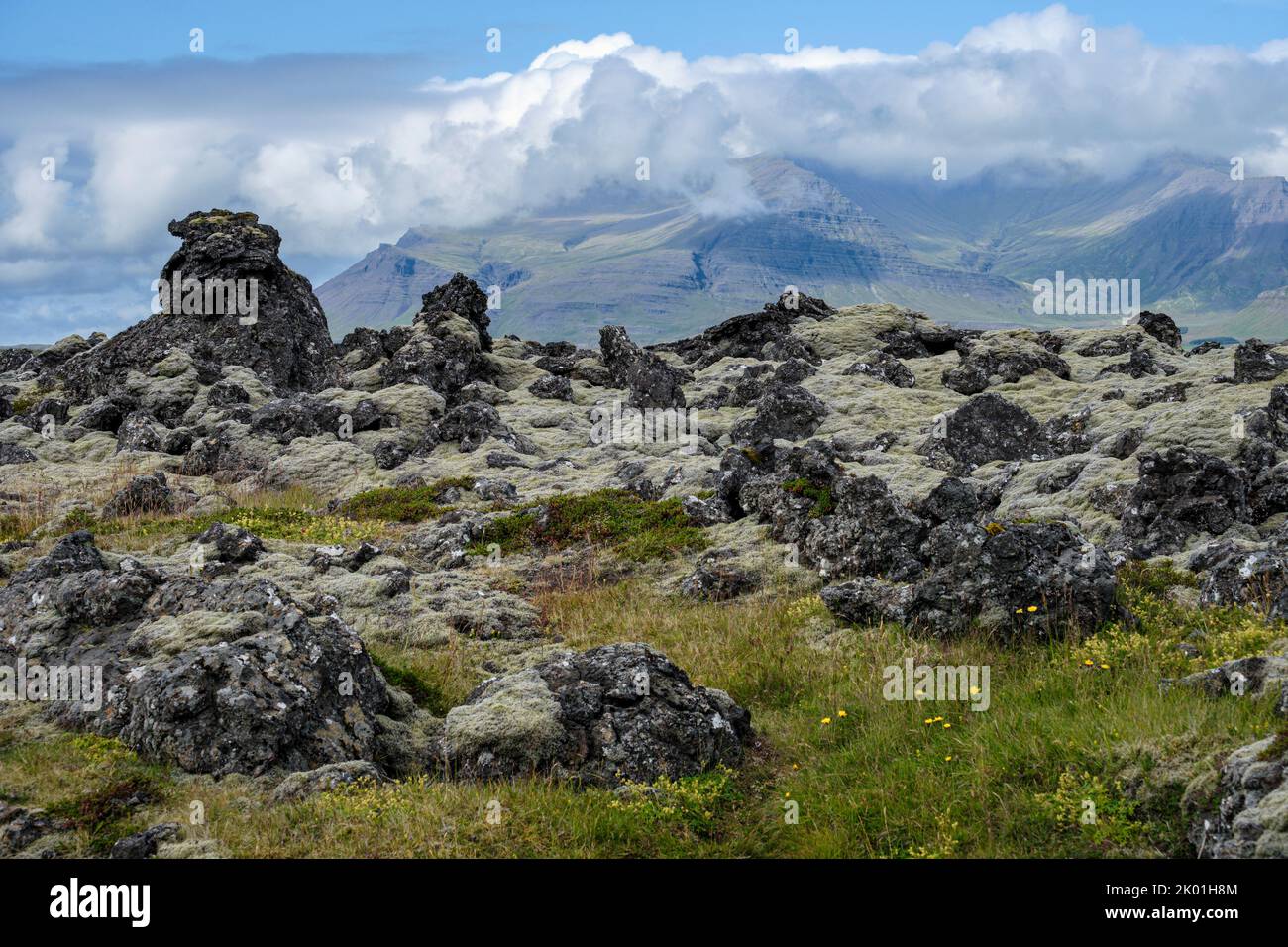 Campo di lava sulla penisola di Snaefellsnes, Islanda Foto Stock