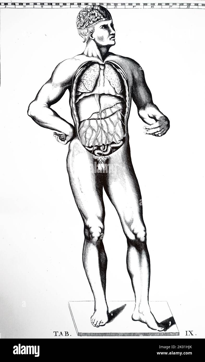 Placca anatomica di Bartolommeo Eustachi Tabulae anatomicae, seconda edizione, Amsterdam, 1722. Eustachio era un contemporaneo di Vesalius ma i suoi disegni rimangono inediti per circa 150 anni. Foto Stock