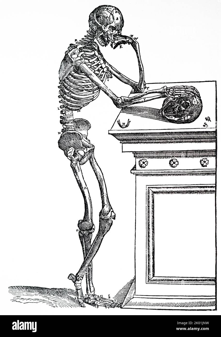 Lo scheletro maschile. Da Andreas Vesalius De Humani Corporis Fabrica, Basilea, 1543. Foto Stock