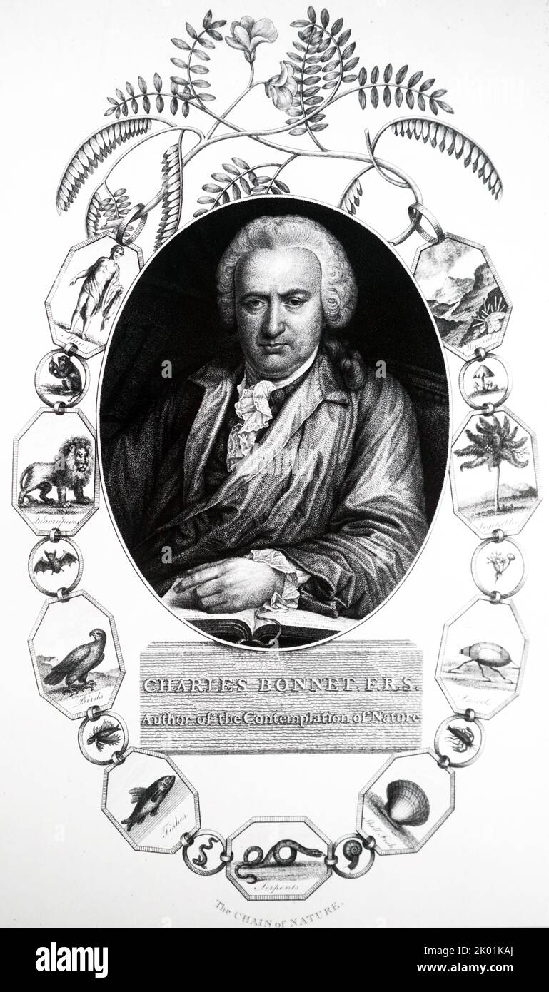 Charles Bonnet (1720-1793) con la sua catena della natura dai minerali all'uomo. Foto Stock