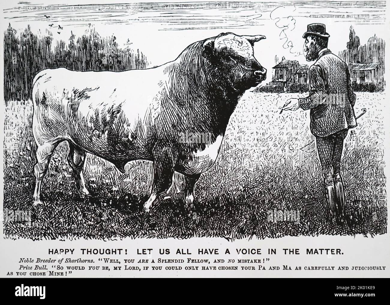 Selezione dell'allevamento. George du Maurier Cartoon di Punch, Londra, 20 marzo 1880. Foto Stock