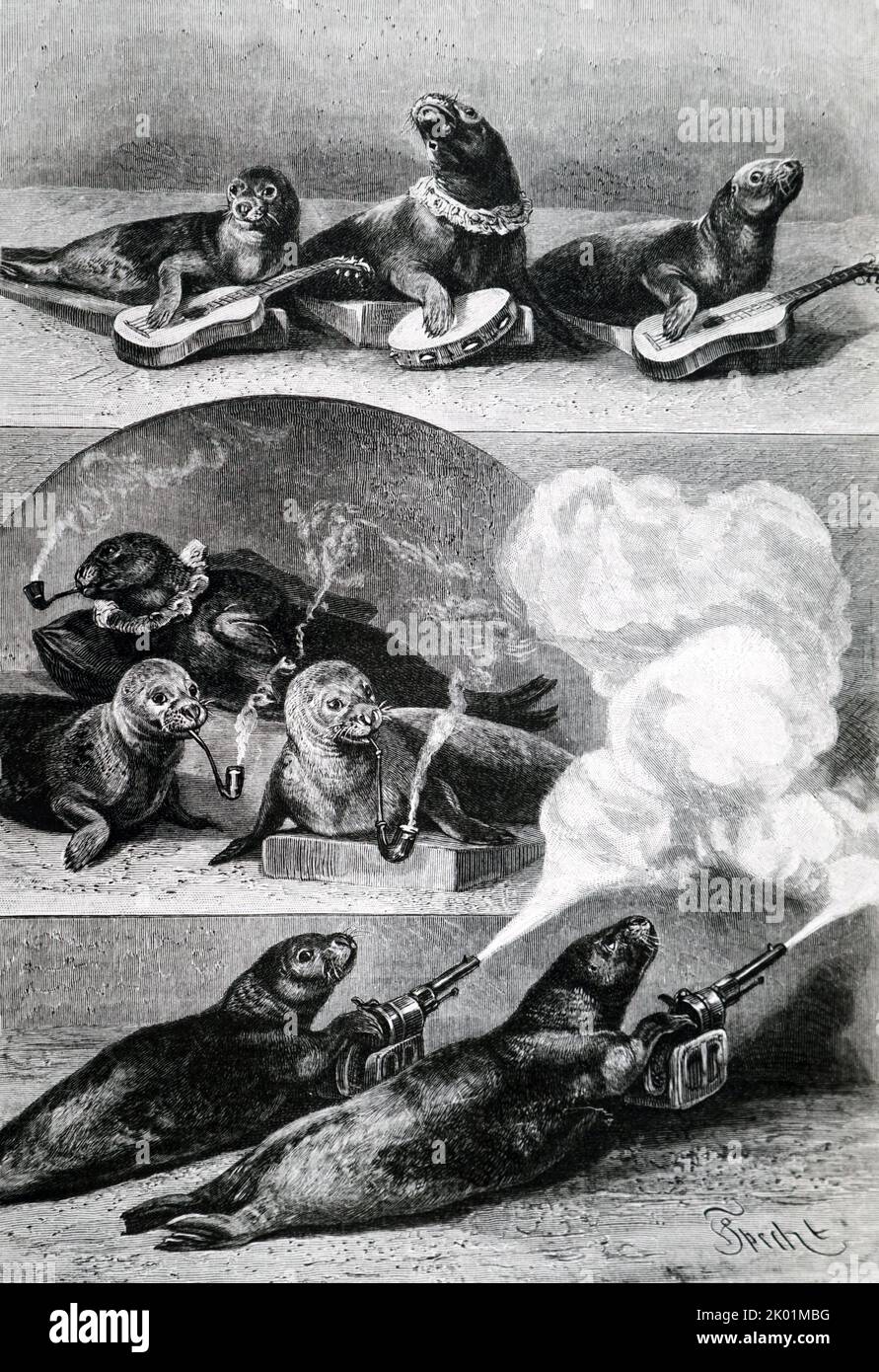 Esecuzione di leoni marini al Cirque d'Hiver. Parigi, 1893. Foto Stock