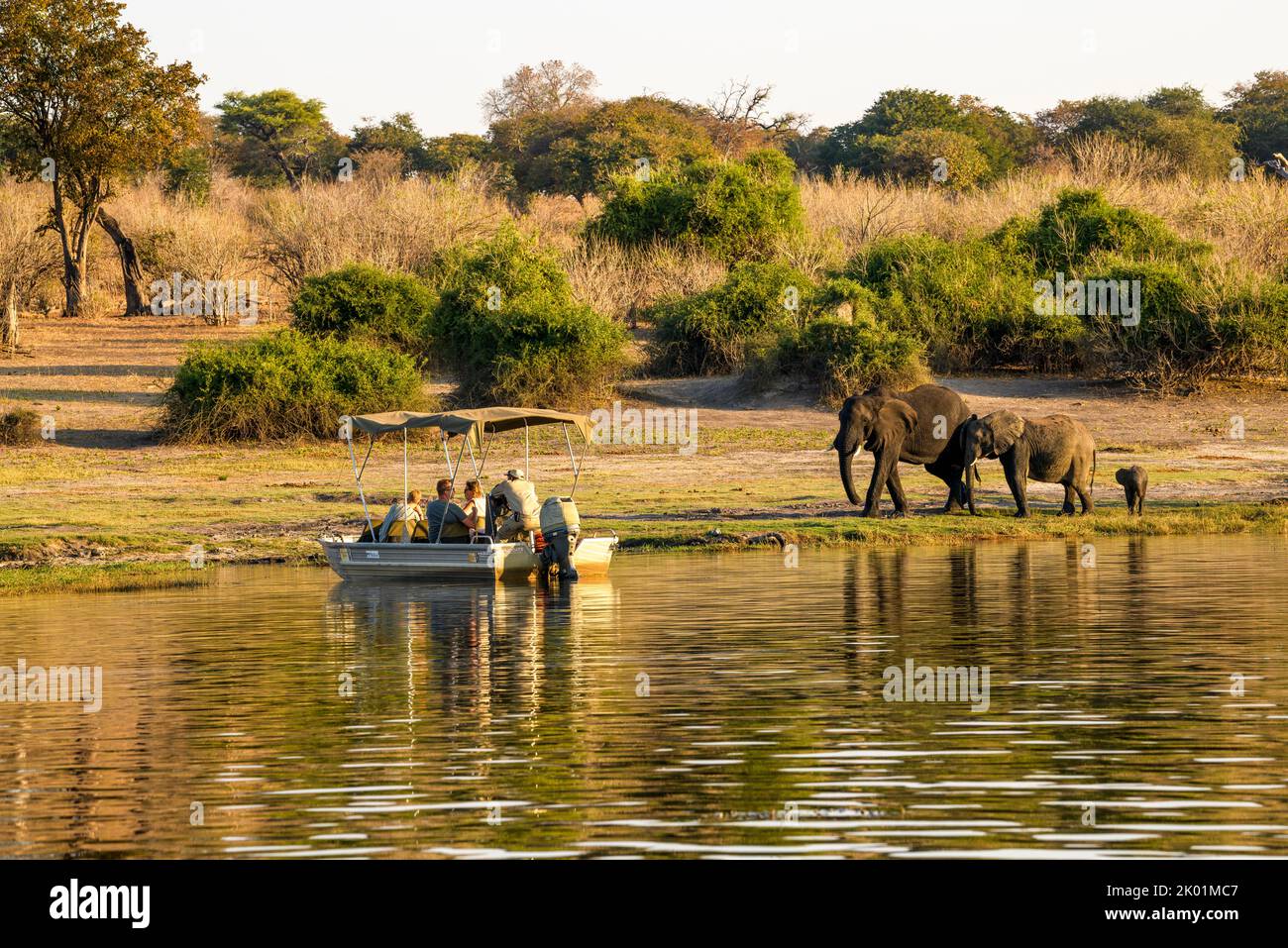 Tour turistico in barca sul lungofiume Chobe tra Namibia e Botswana con osservazione degli elefanti, Kasane Foto Stock