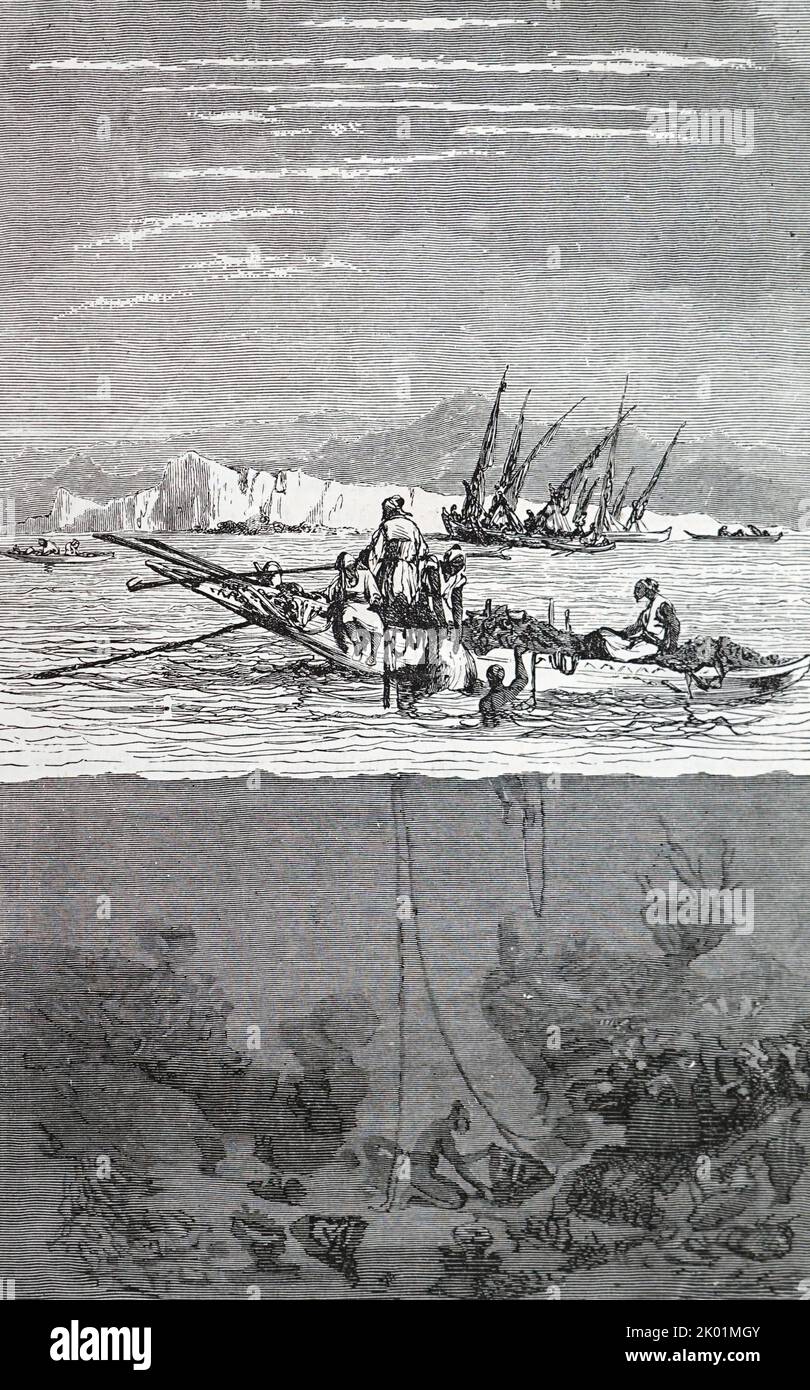 Immersioni per spugne al largo della costa siriana, c1880. Foto Stock