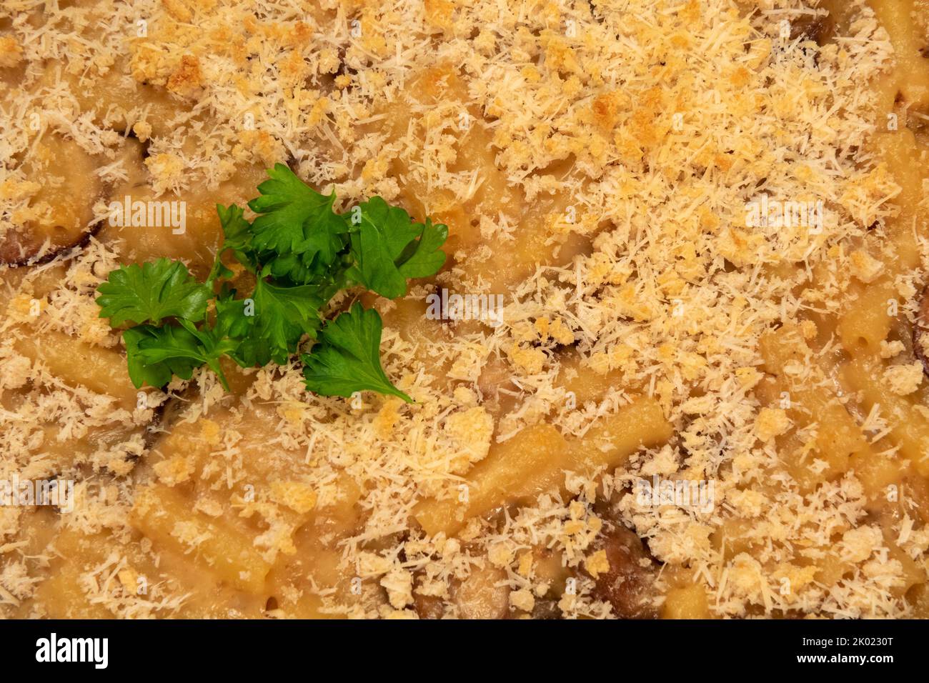 primo piano con funghi selvatici, formaggio mac n Foto Stock