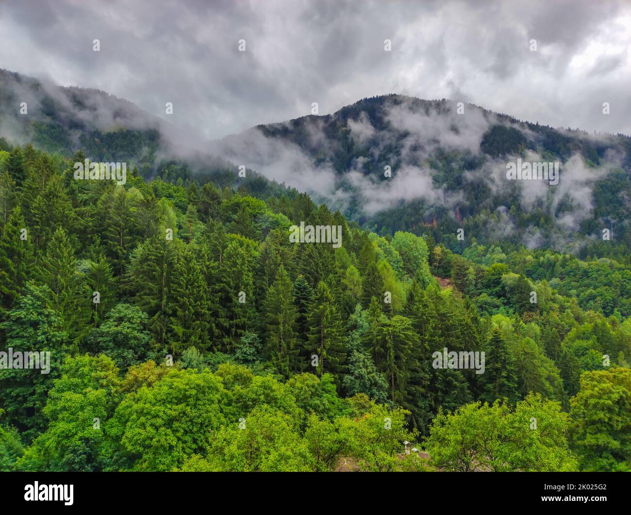 paesaggio di foresta con nebbia e nuvole Foto Stock