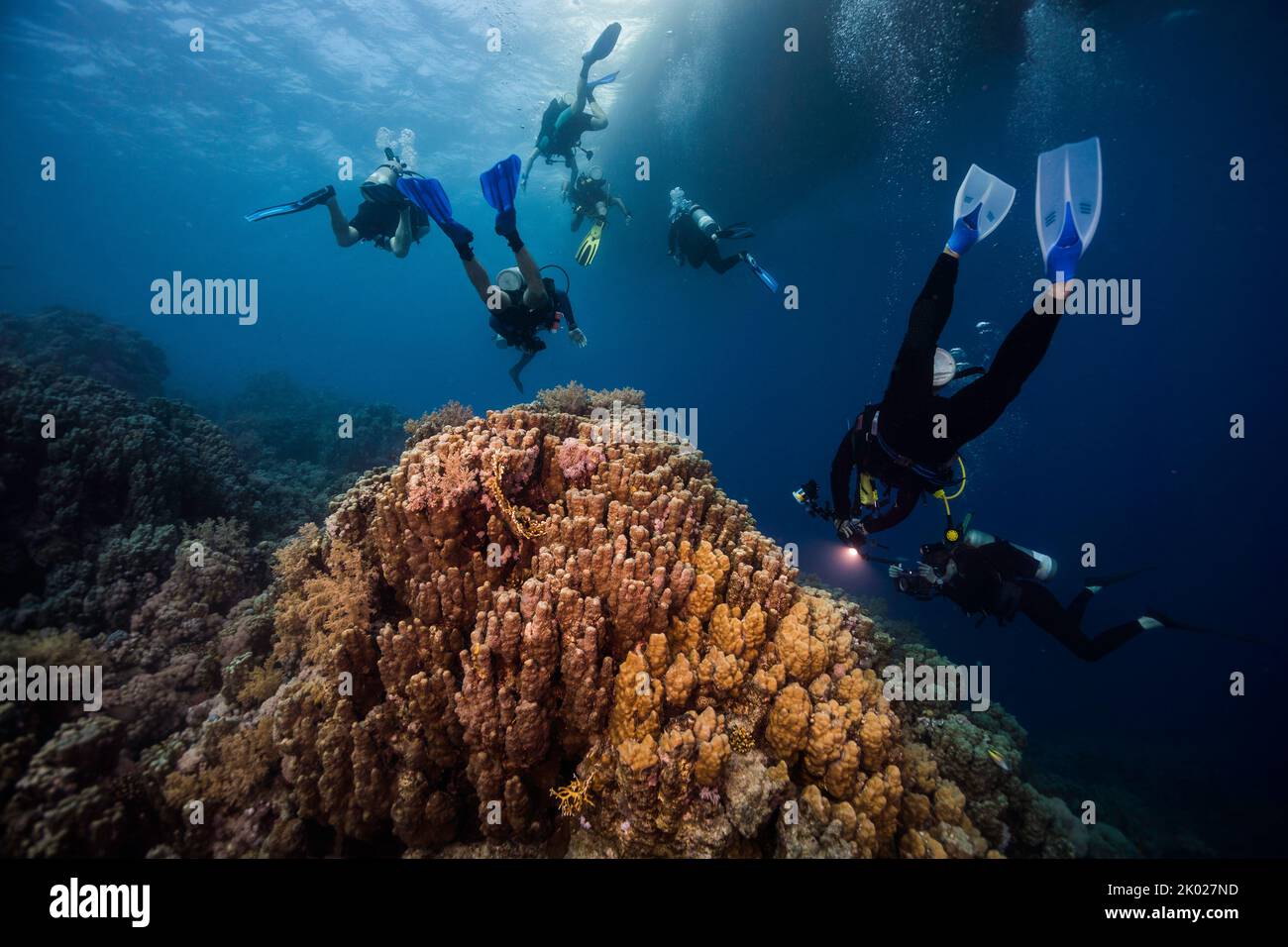 Un gruppo di subacquei che nuotano sopra la barriera corallina tornando alla barca visibile sulla superficie dell'acqua sullo sfondo Foto Stock