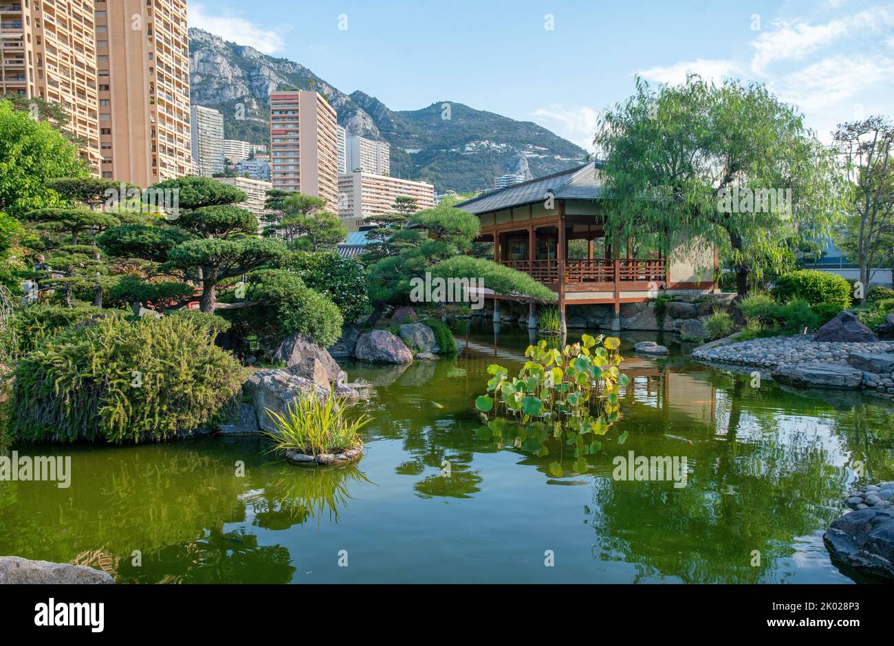 Giardino giapponese a Monaco e piante acquatiche e splendidi pini topiari, un padiglione giapponese e alti edifici residenziali (alti edifici). Fanta Foto Stock