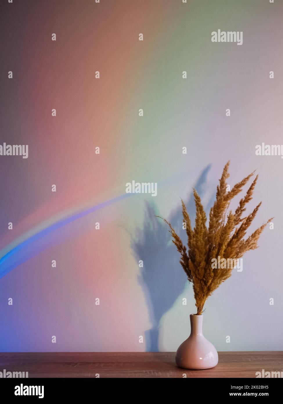 decorazioni in pianta con sfondo chiaro al neon sfocate nell'arcobaleno Foto Stock