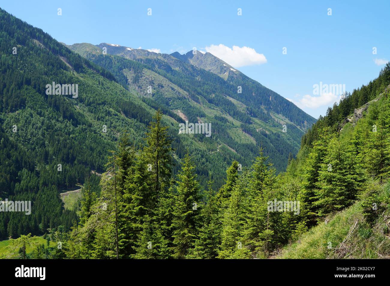 Le pittoresche e verdi Alpi austriache della regione di Schladming-Dachstein (Stiria o Steiermark, in Austria) Foto Stock
