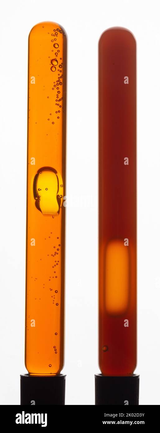 Lecitina di girasole liquida gialla viscosa con bolle in provetta trasparente su fondo bianco Foto Stock