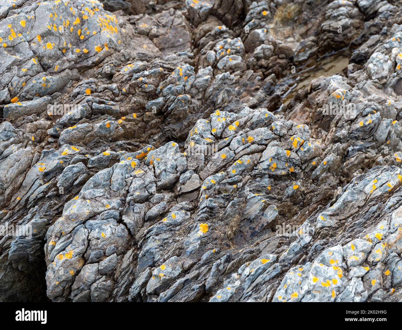 Bella roccia. Primo piano degli strati di pietra, full frame. Struttura di pietra, formazione di roccia. Foto Stock