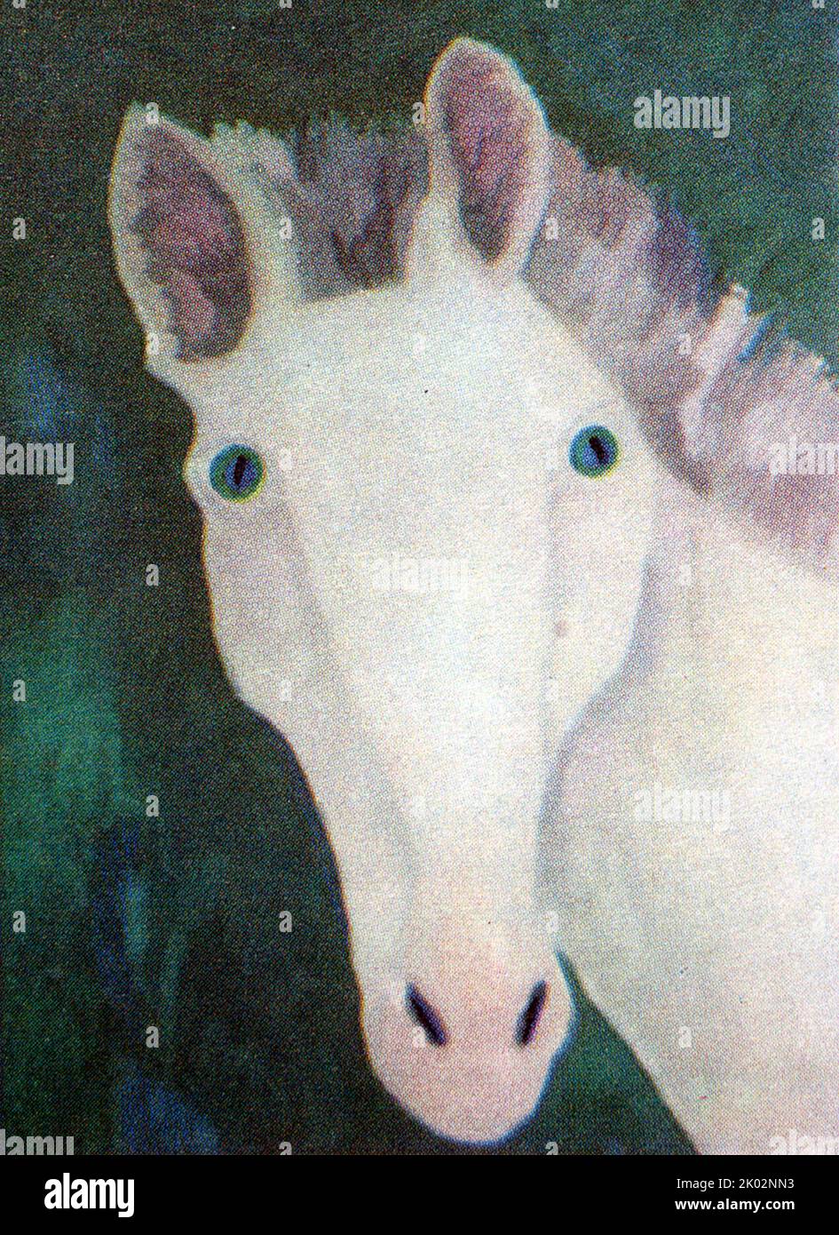 Cavallo. Gouache. Studio d'arte presso il DEZ numero 17 Krasnogvardeisky quartiere di Mosca. Volodya Boykov, 12 anni. Foto Stock
