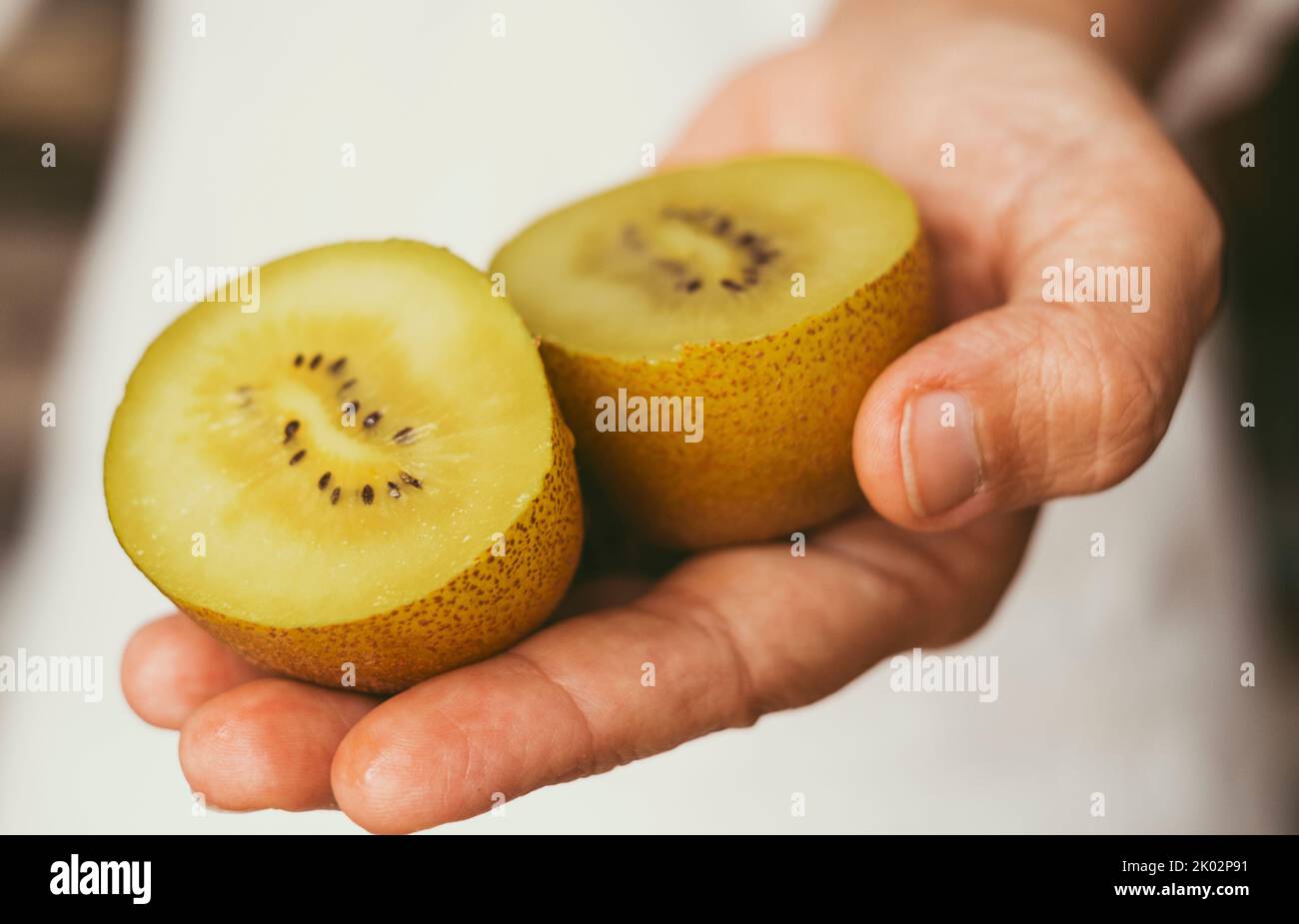 Primo piano di kiwi sole vitamina frutta tagliata in due parti. Concetto di cibo e vitamina per una sana alimentazione dello stile di vita. Donna adulta mano che tiene kiwi verde. Prodotti agricoli agricoli Foto Stock