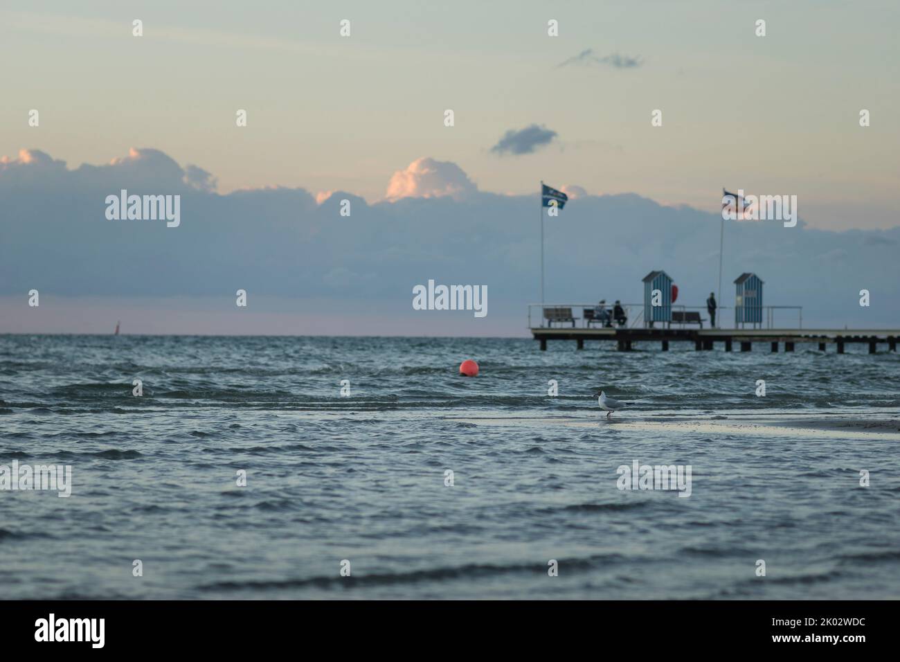 Spiaggia, mare, mar baltico, vacanza, tempo libero, gabbiano, persone in background Foto Stock