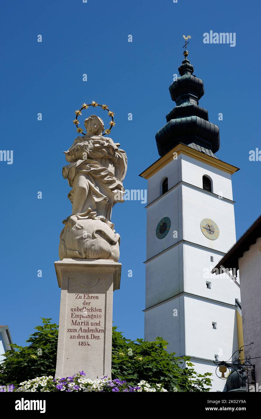 Germania, Baviera, alta Baviera, Contea di Traunstein, Waging am See, Mercato, colonna di Santa Maria, Chiesa Parrocchiale di San Martino Foto Stock