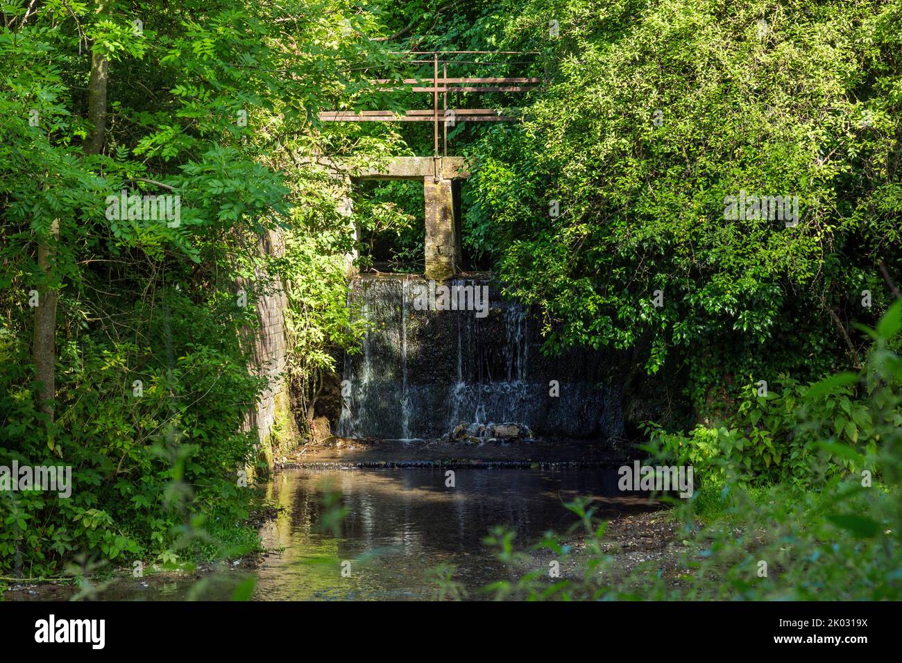 Germania, Billerbeck, Berkel, Baumberge, Muensterland, Westfalia, Renania settentrionale-Vestfalia, sorgenti del Berkel, natura, ricreazione, conservazione della natura, turismo, passerella sul fiume, cascata Foto Stock